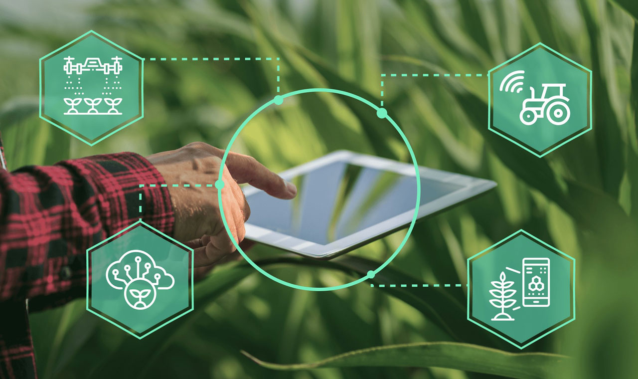 تفاوت کشاورزی دقیق، هوشمند و دیجیتال